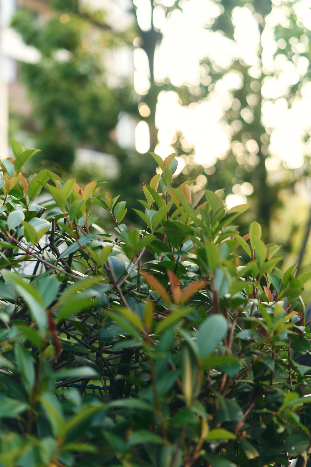 主体的にキャリアを描ける環境